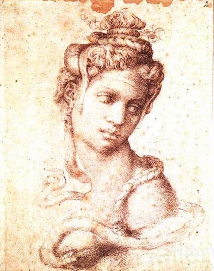 Michelangelo Buonarroti Cleopatra Norge oil painting art